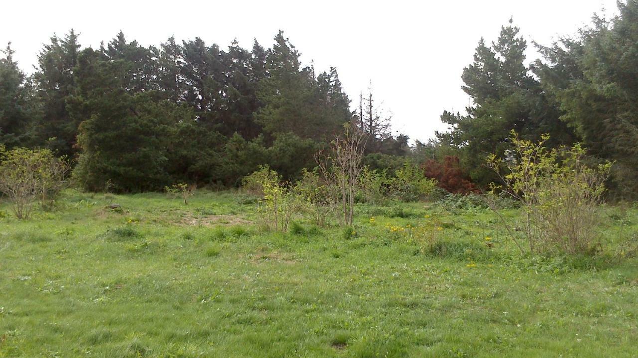 6 Fyrrevej, Noerre Lyngby Villa Løkken Buitenkant foto